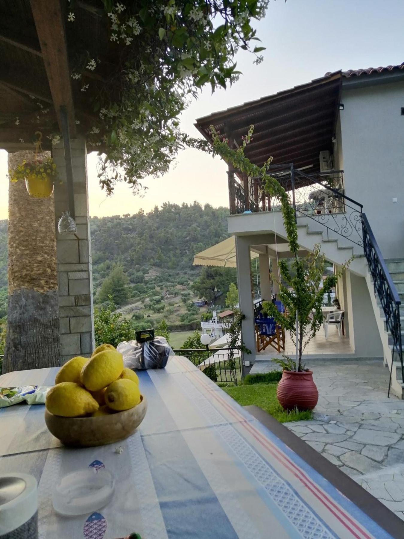 Fotini'S House Apartment Nea Skioni Bagian luar foto