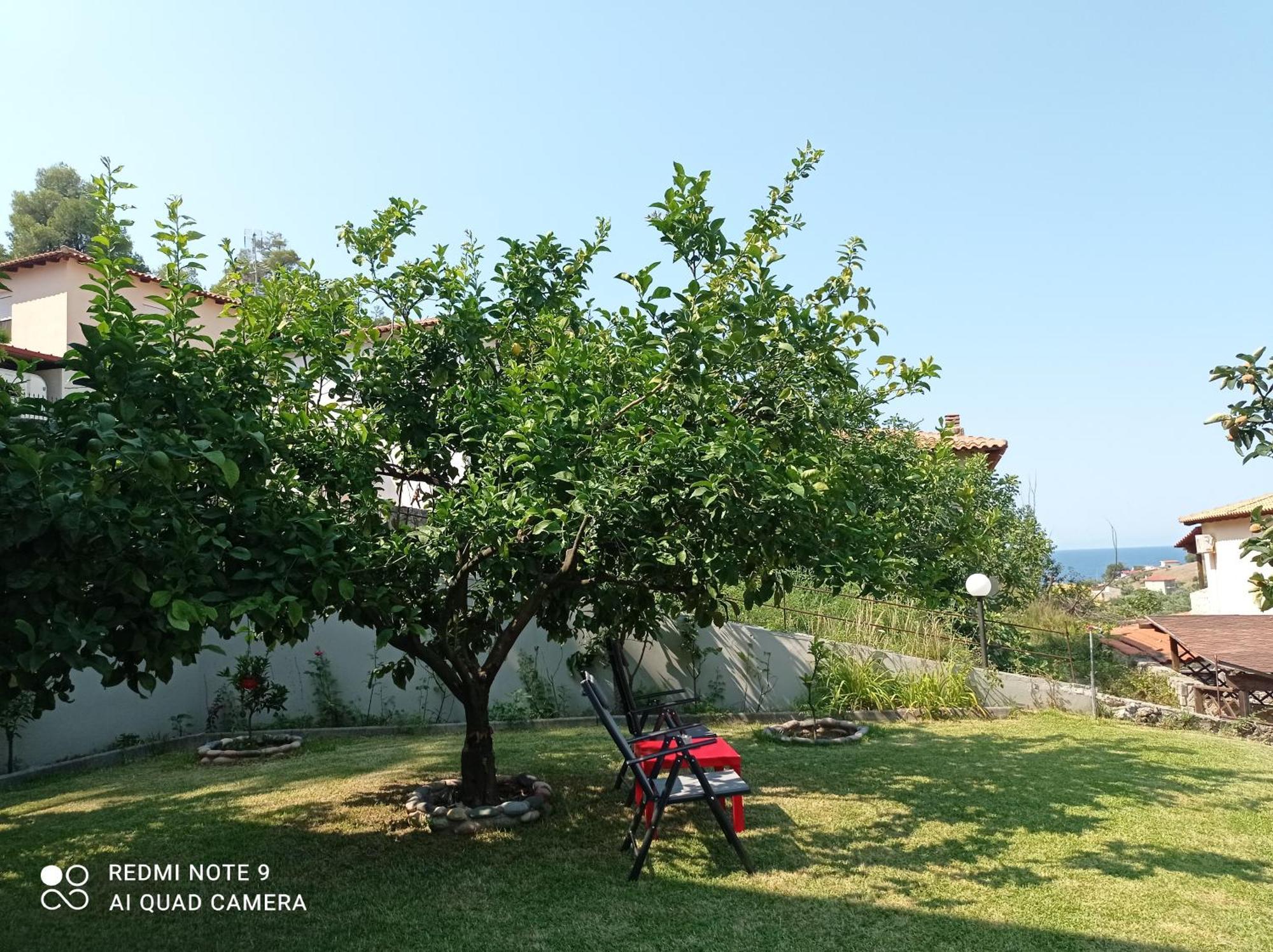 Fotini'S House Apartment Nea Skioni Bagian luar foto